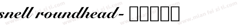 snell roundhead字体转换